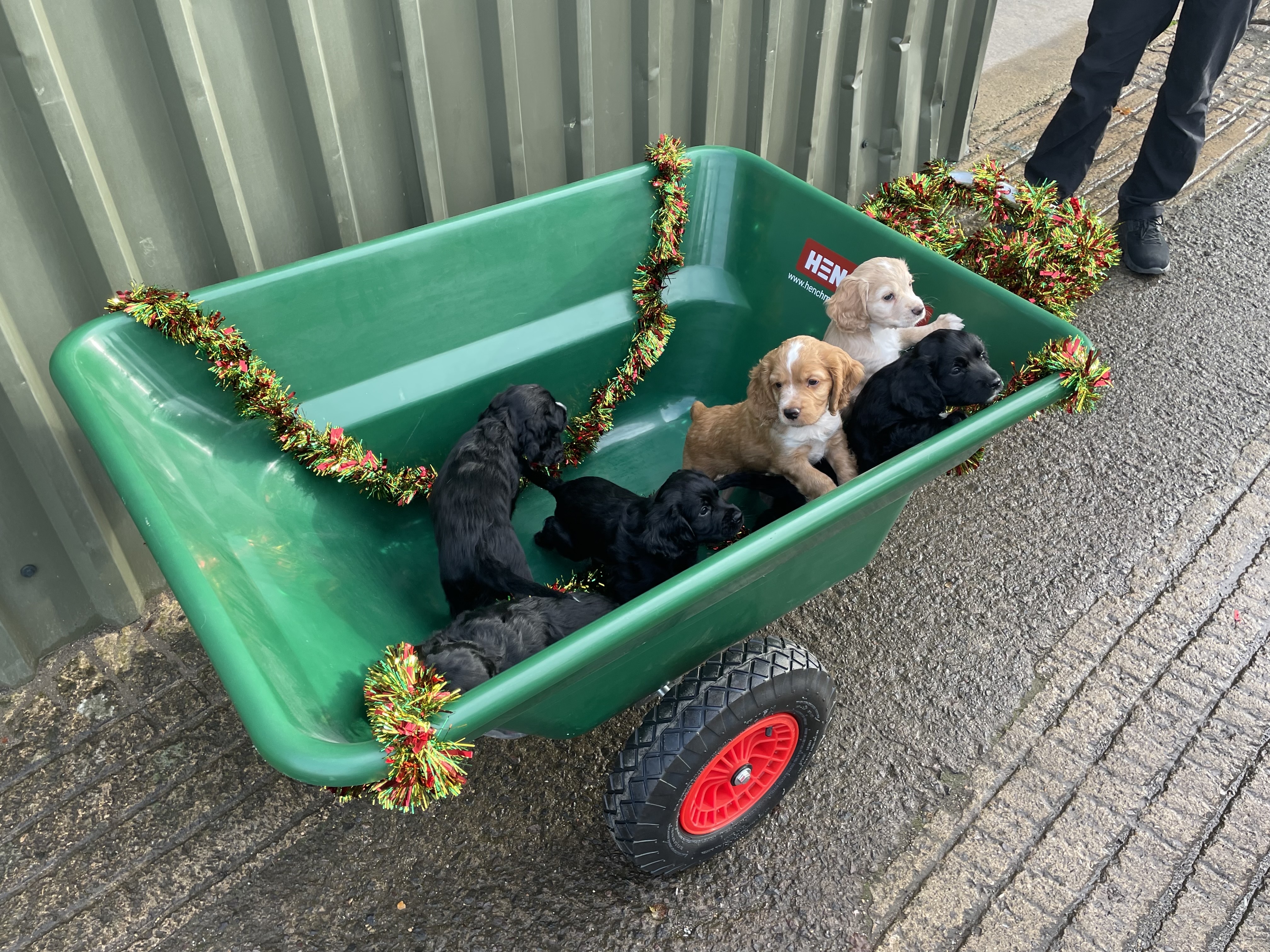 Henchman wheelbarrow deals