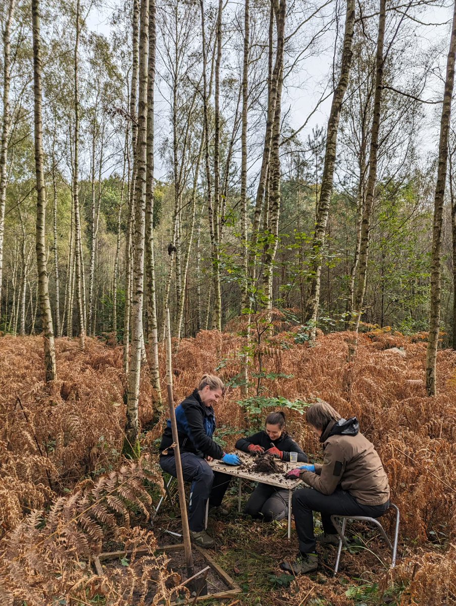 2023 has been nothing short of extraordinary! From groundbreaking research to sharing laughs with our amazing colleagues. Take a stroll down memory lane in the thread below to relive some of the highlights of our collective efforts. Looking forward to 2024! [1/3]