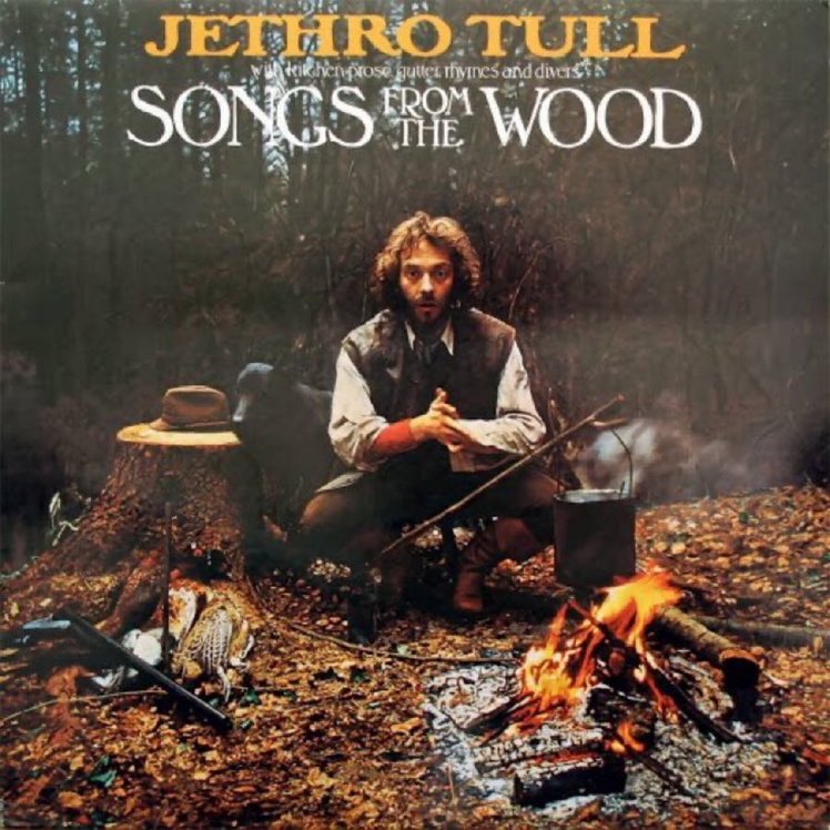 ‘Songs from the Wood’ (1977). This is a classic by Jethro Tull. Weaving progressive rock with a British folk rock influence pushed to the fore. Some excellent group dynamics play out while Ian Anderson cements his place as an original rock star. Contains a Yuletide classic too!
