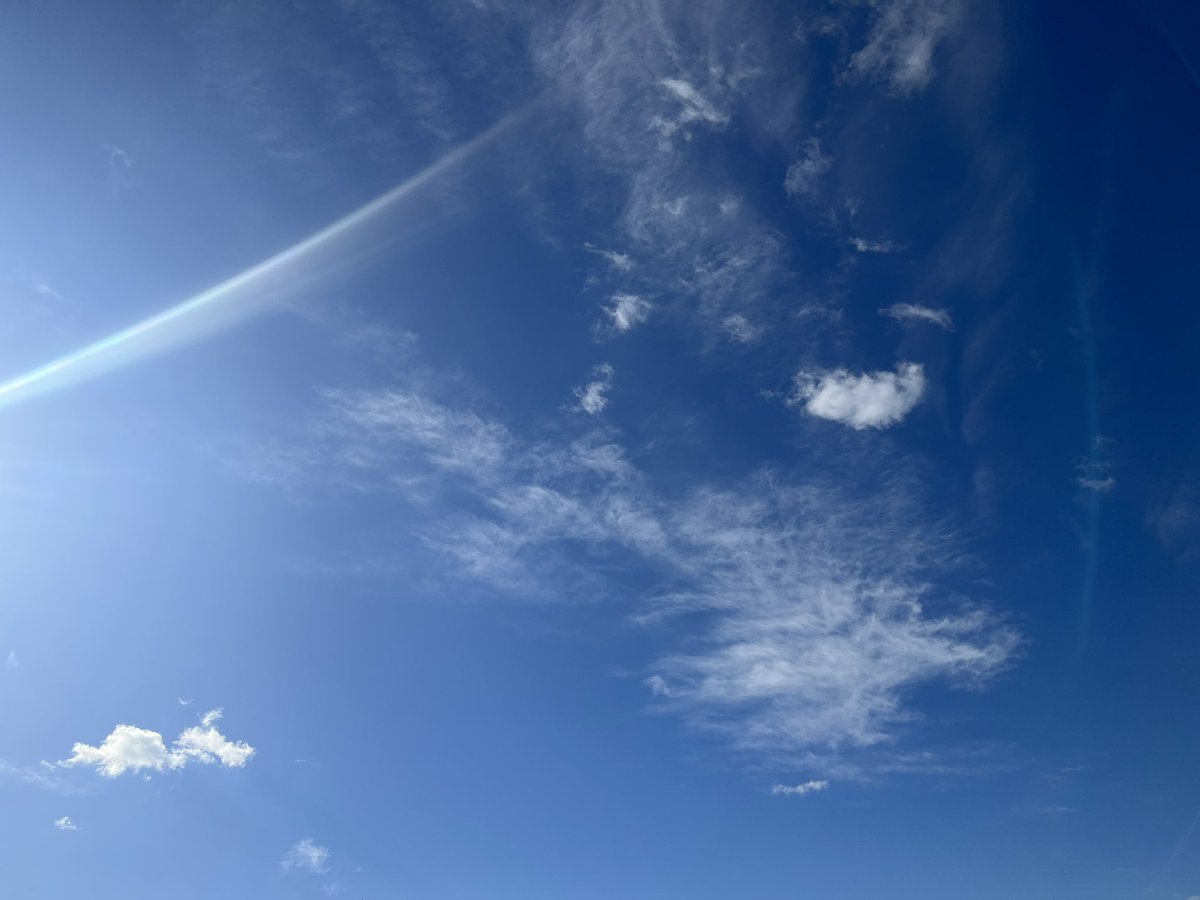 usasan_usa's tweet photo. おはようございます☀
オフィスワーク&amp;アーティスト業のフル稼働2日目、本日も完走を目指して駆け抜けます🔥💪🎤

終業時間までお仕事に励みましょう👍
皆様本日もよろしくお願いします🐰
#企業公式相互フォロー祭り 
#企業公式冬のフォロー祭り 
#おは戦51221dm
年内1500名目標🔥
フォロワー様募集中 https://t.co/pRRyJLg5VF