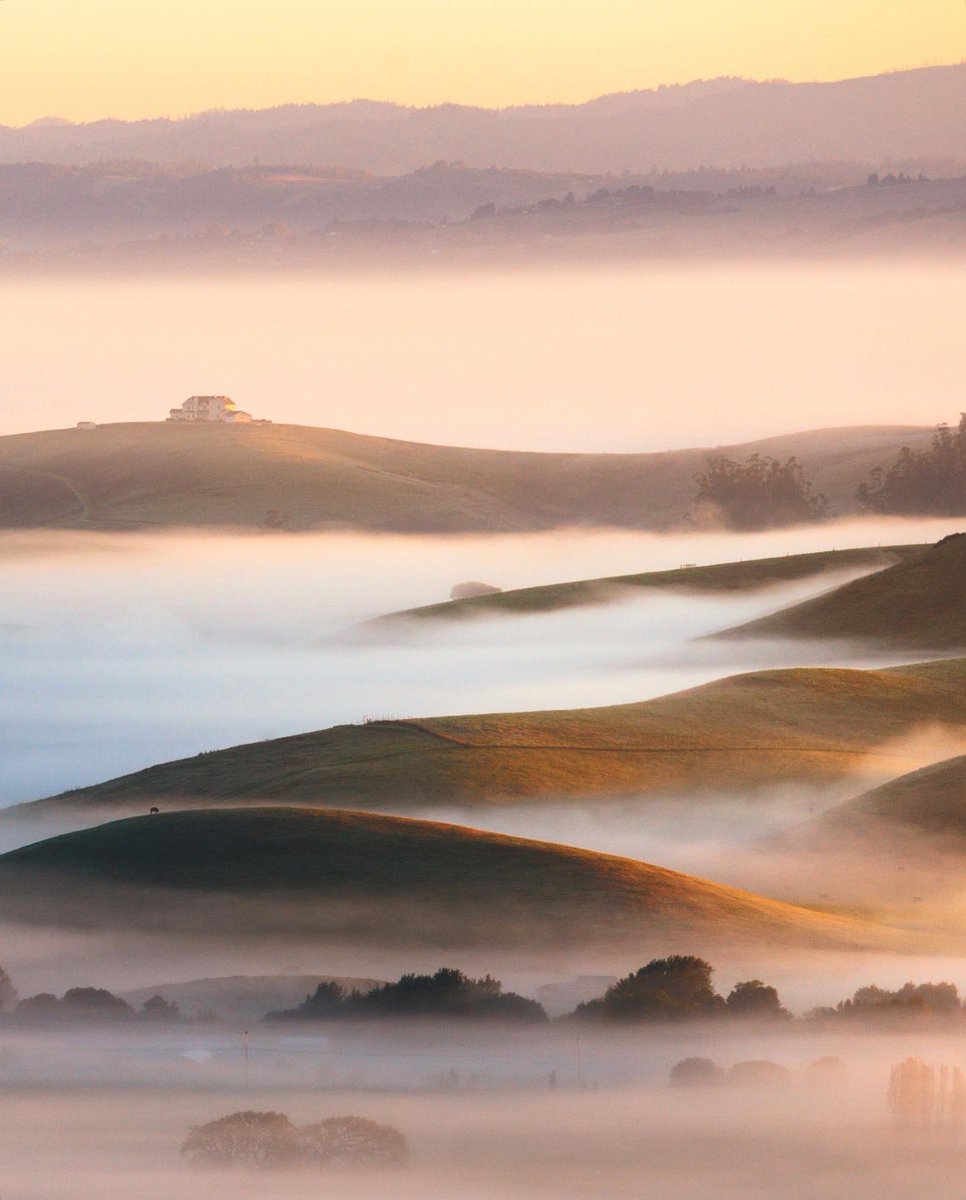 CodyMayer22's tweet photo. daily dose of fog https://t.co/02dqeDuJ8z