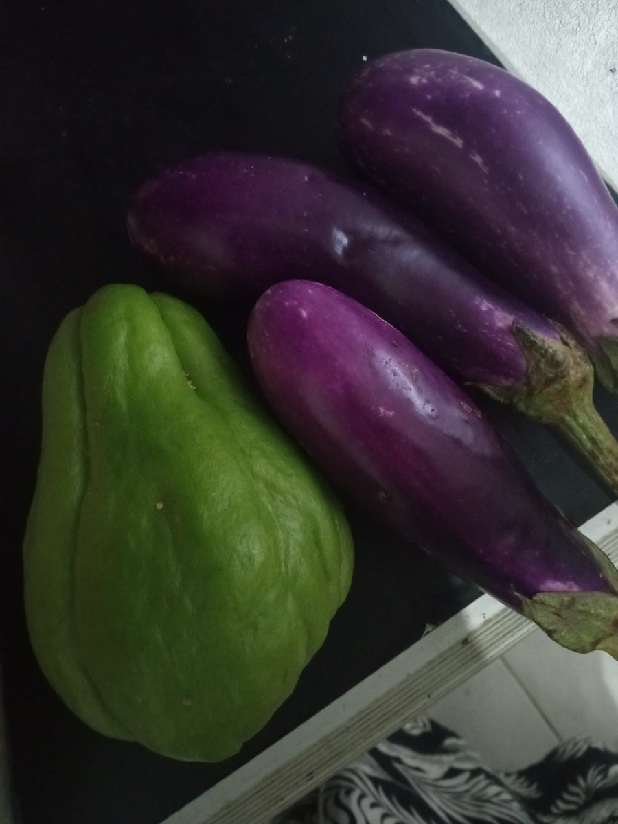 dewiuth's tweet photo. Kalo suami yg belanja, ada aja yg kelupaan padahal minta dicatetin tp ga dibaca dg seksama 🫠

Trus ini terong kicik2 sama labu harga 13 rebu ceunah 😭, dahlah gabisa improve bapak2 ini. Kalo emak2 kan bisa tanya2 harga dulu kalo lagi mahal mending ga usah beli dulu 😭 https://t.co/vS9cM2rupu