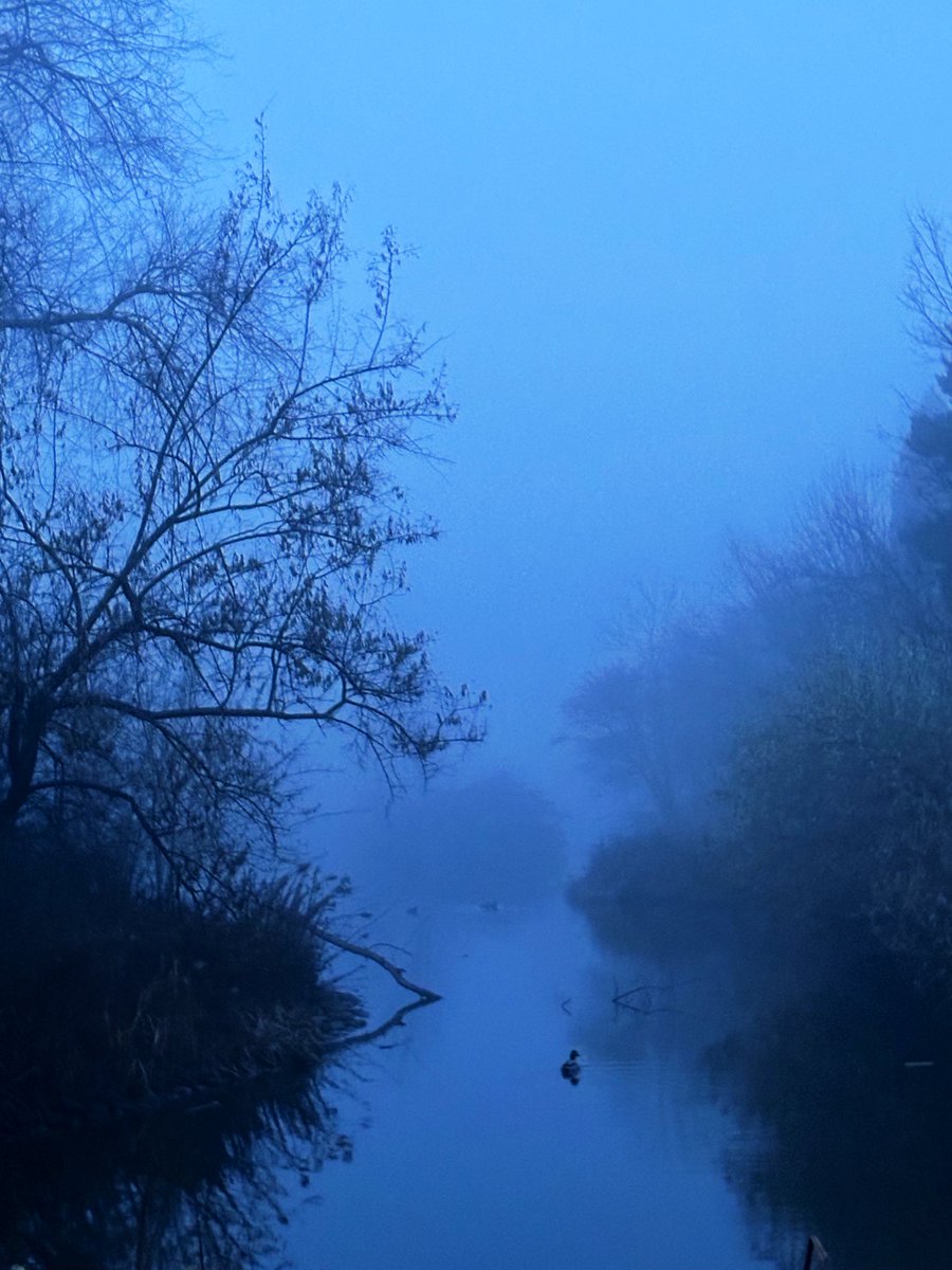 Into the Mist; Boise, Idaho.