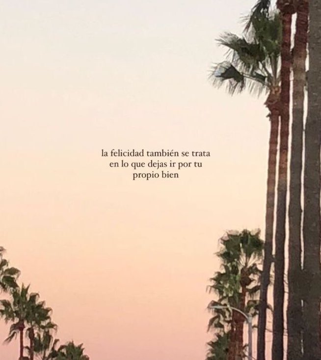 🌙 mini textos tweet media
