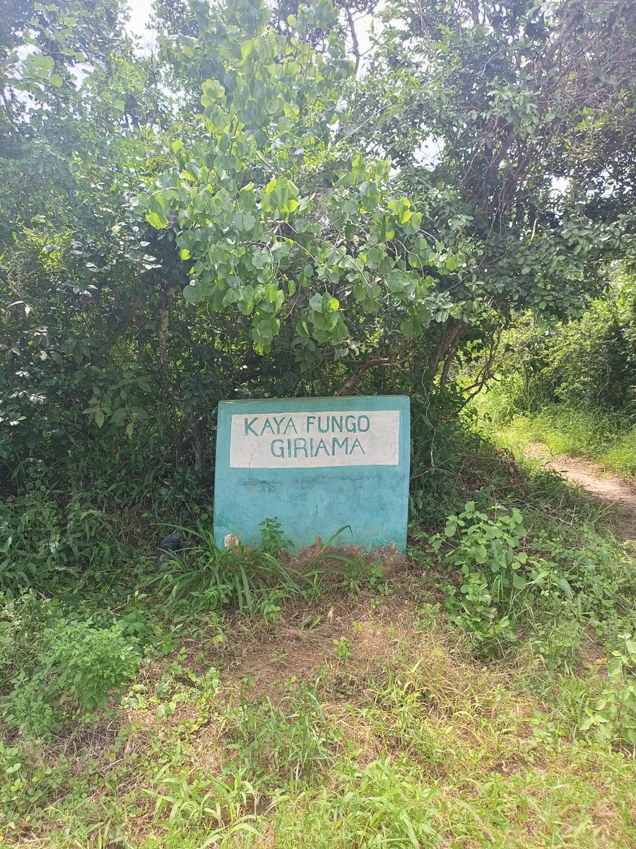 Pwani Tribune🌴 tweet media