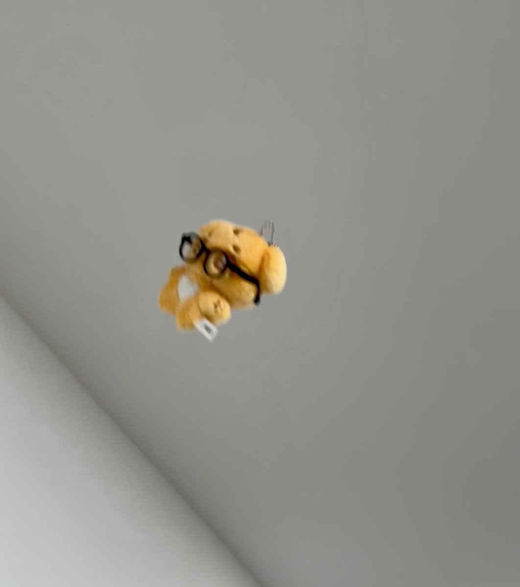 겸만두 tweet media