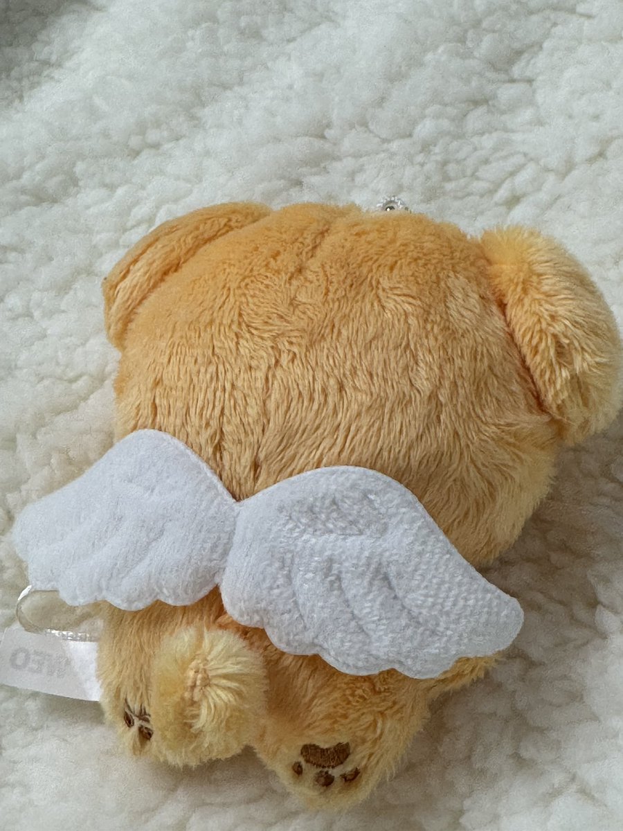 겸만두 tweet media