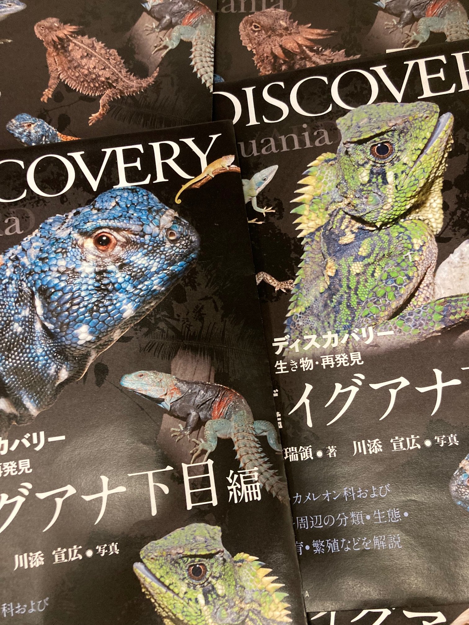 トカゲ大図鑑 イグアナ下目編 トカゲ大図鑑 イグアナ下目編: アガマ科・カメレオン科および
