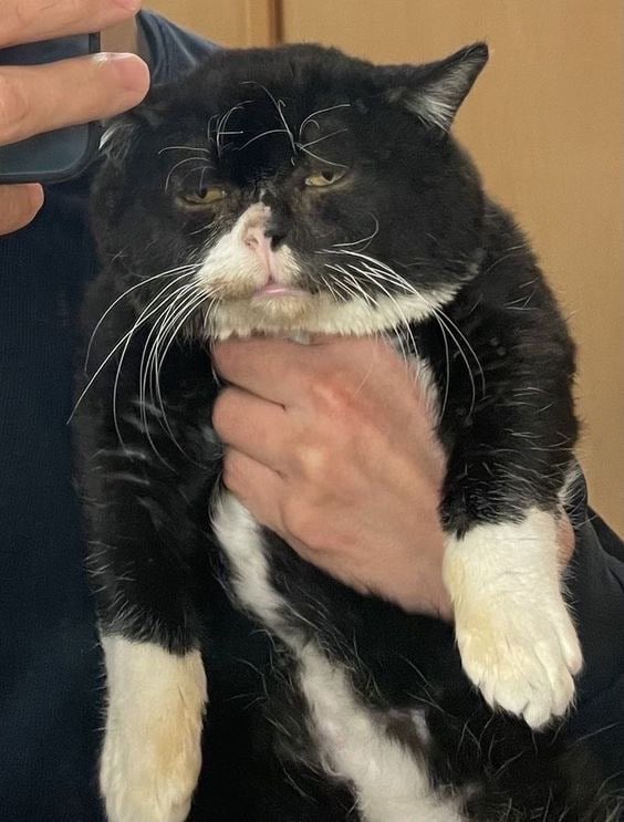 ща кофейку бахну и камон