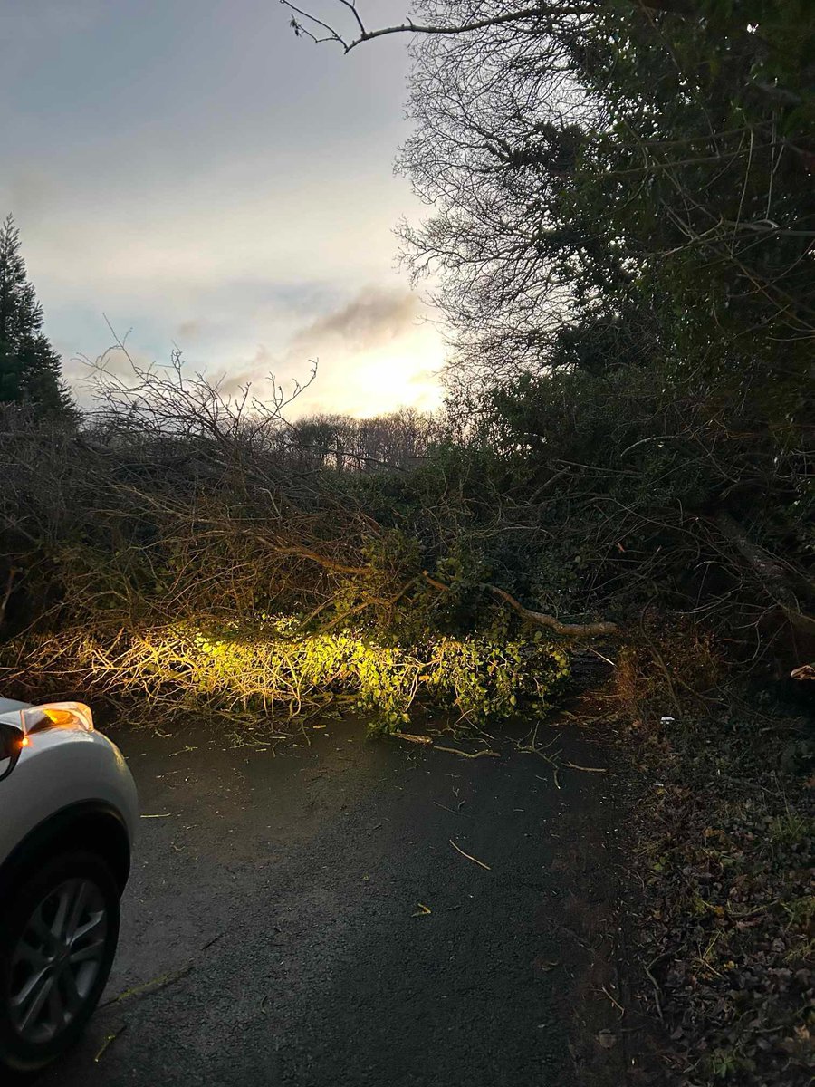 #TRAVEL: #ShadowbrookLane in #HamptonInArden is currently blocked near Hampton Manor, due to a fallen tree. 

(Image: Jade Hewitt).