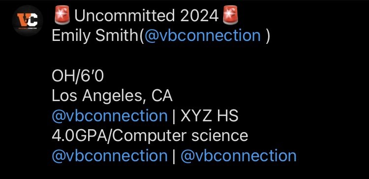 Volleyball Connection tweet media