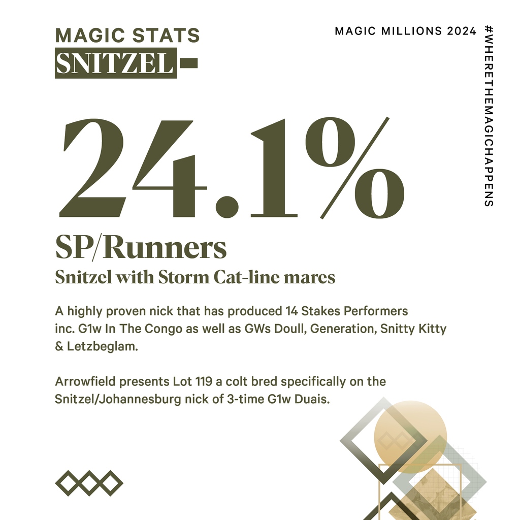 ArrowfieldStud's tweet photo. Get in the driver's seat with the nick that produced G1w In The Congo.
#magicstats #Lot119 #snitzel #runtothebeat #magicmillions2024 https://t.co/bFR5GrUcmd