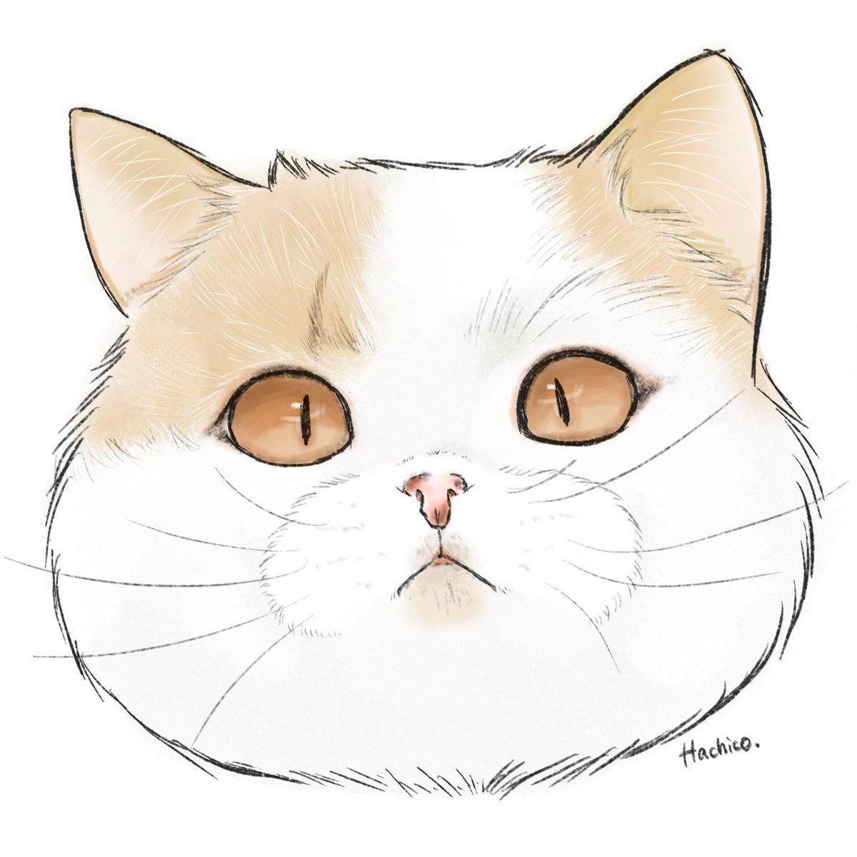 ちょっとペン変えてみた