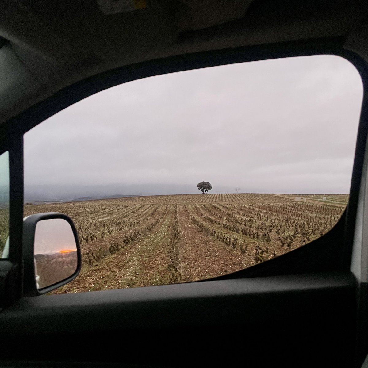 Diego Peláez tweet media