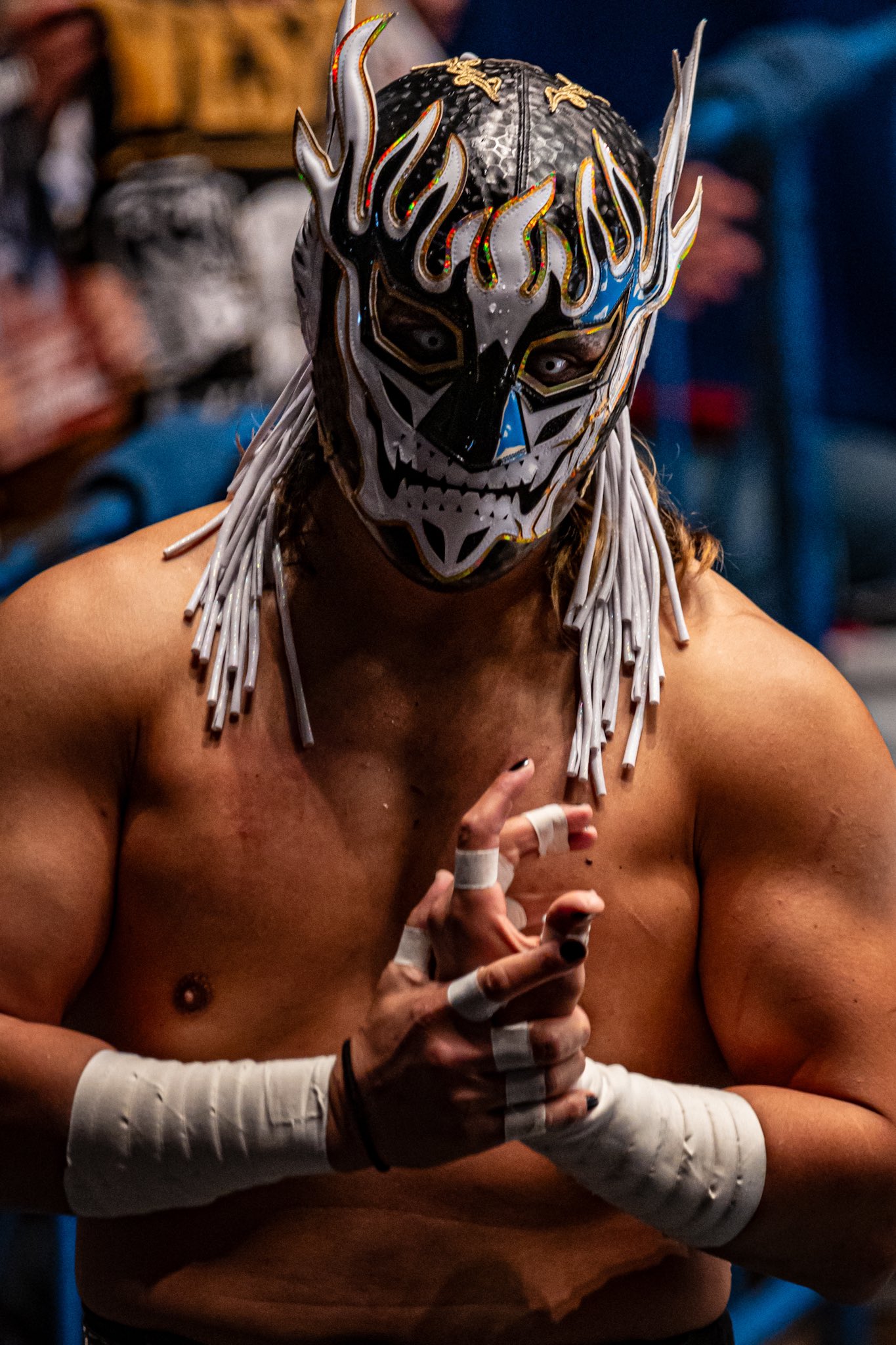 taiga on X: 