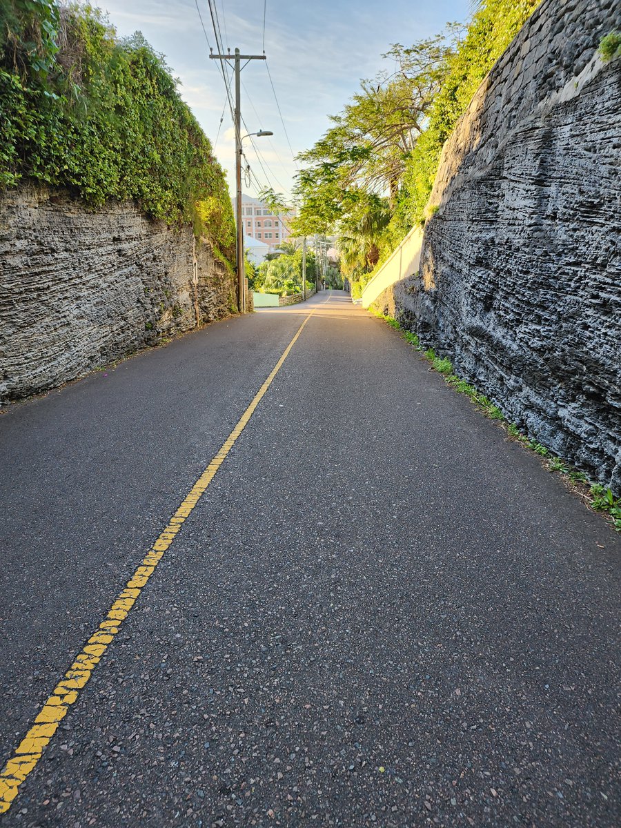 254crypt's tweet image. 