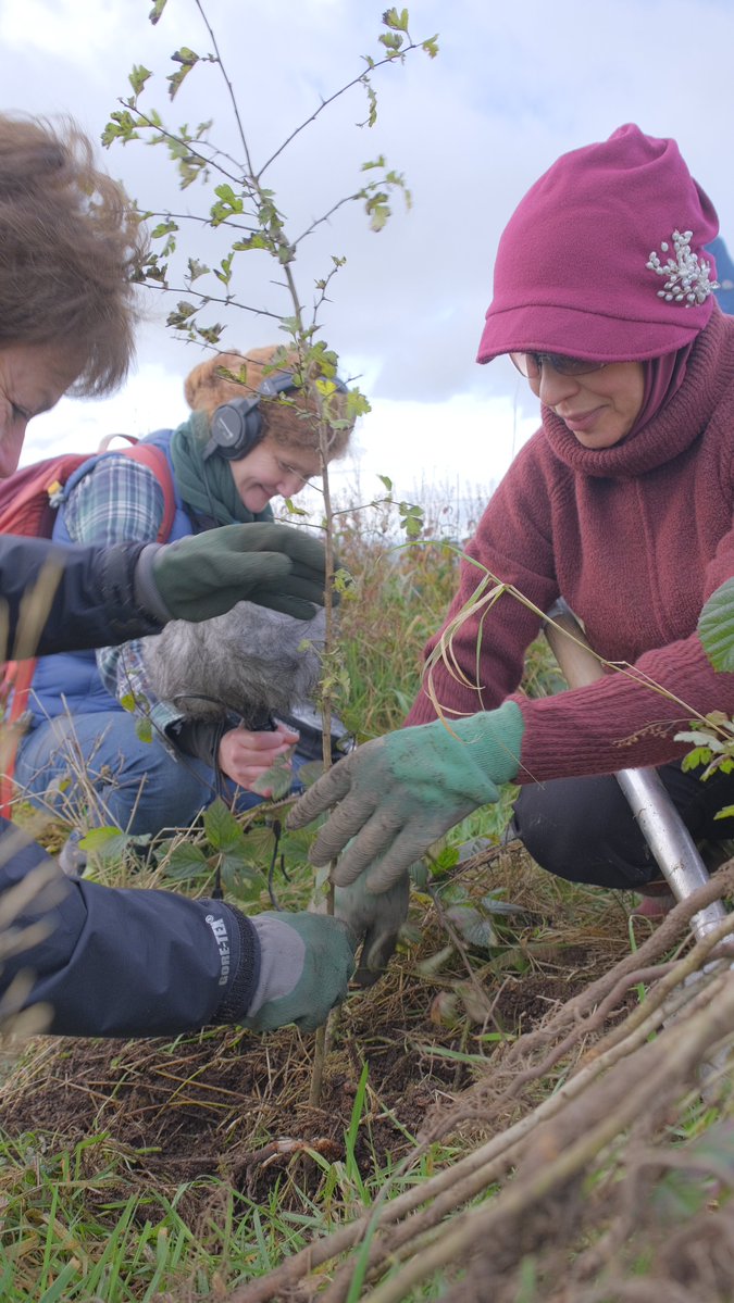 BBC Open Country tweet media