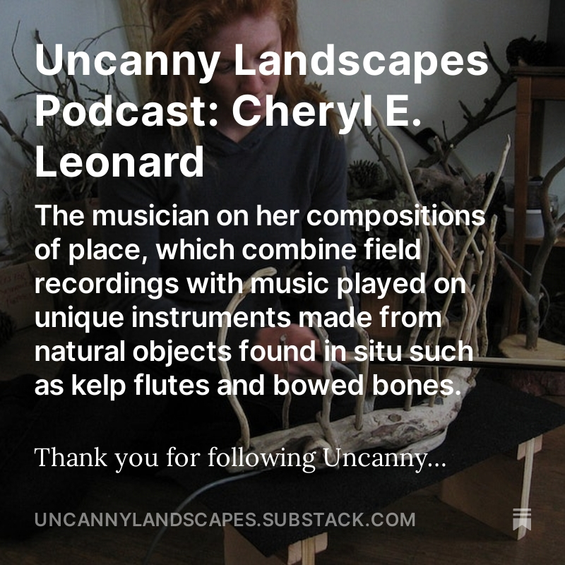 New episode of Uncanny Landscapes - an interview with Cheryl E Leonard on composing in, of and with landscape. Link via bio!