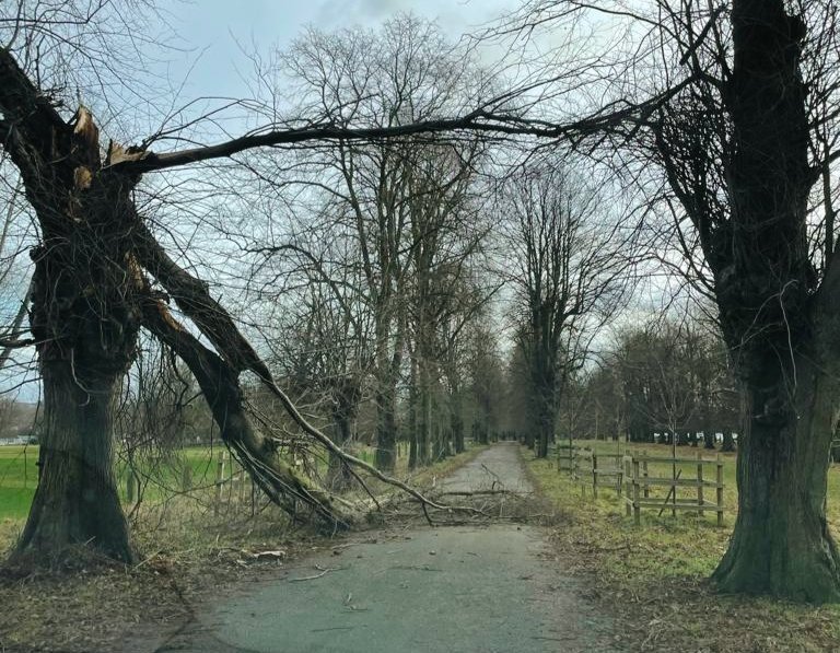 ⚠️ Customer Notice ⚠️ Due to exceptionally high winds & fallen branches in key areas, Wollaton Hall & Deer Park remains closed today & this evening, Thursday 21st December. We apologise for any inconvenience caused and will update on our website when the park is reopened. 💚