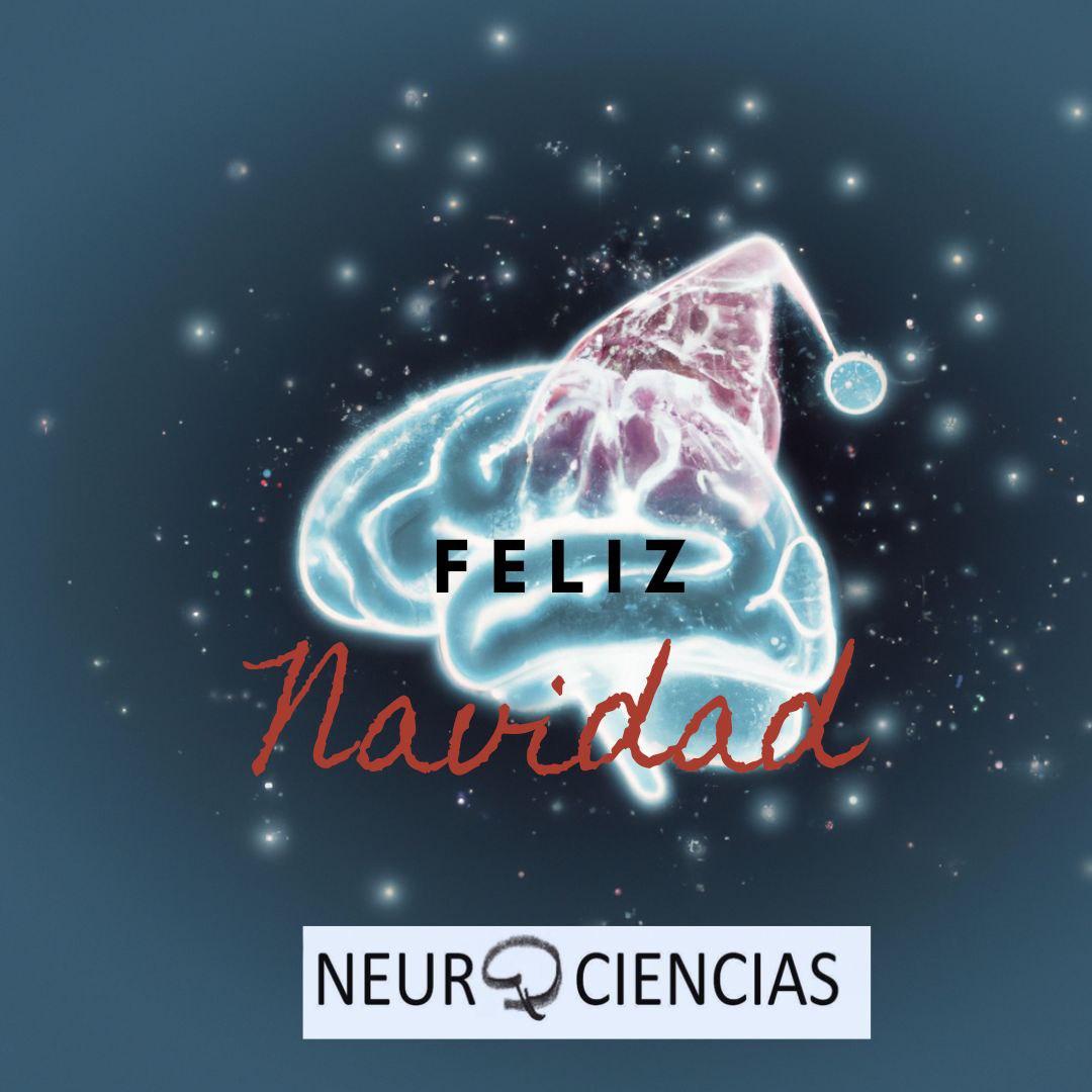 Desde #NeurocienciasSEDAR🧠 queremos desearos unas Felices Fiestas🎄 💫✨ y un año 2024 lleno de ciencia que podamos compartir.