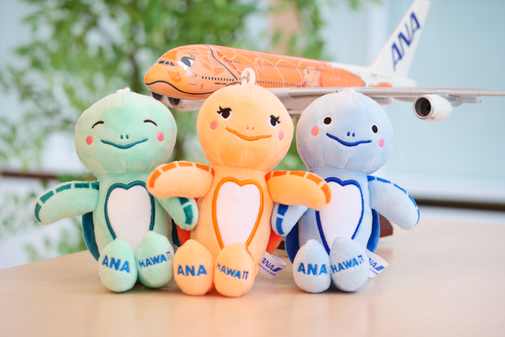 ANA【公式】 on X: ANA【公式】 on X: