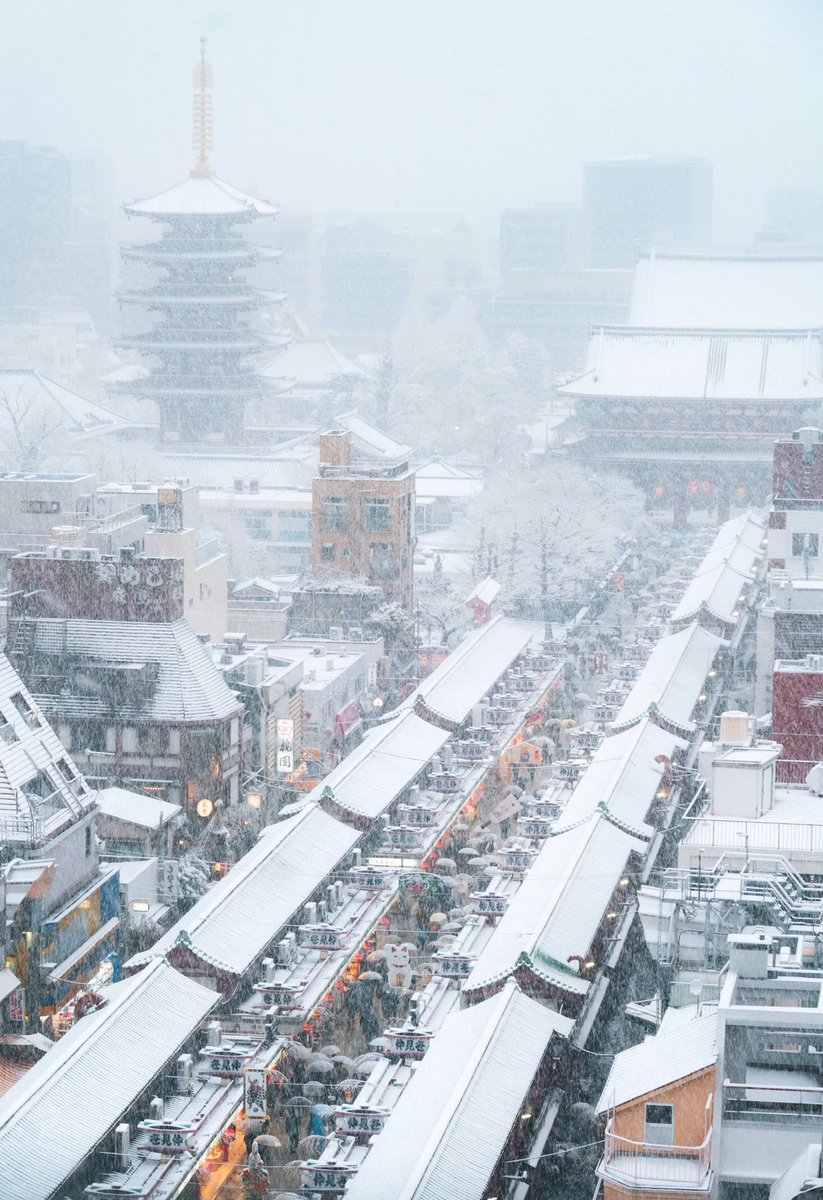 白銀に染まった冬の浅草寺