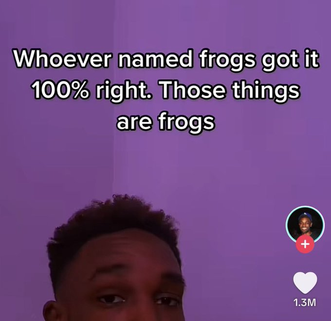 Wild Posts tweet media