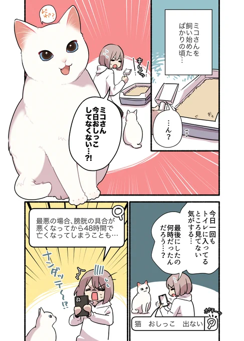 猫がおしっこしなくてめっちゃ不安になった話(1/2) #PR #RABO #Catlog