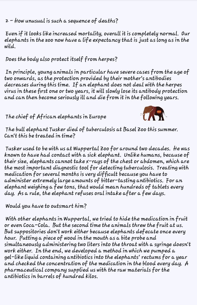 Deaths in zoos: Why do so many elephants die in Switzerland? Arne Lawrenz, EEP, in interview Why do so many elephants die in Swiss zoos? The head of African elephant breeding in Europe classifies the deaths & explains what went wrong. #EEHV Page 3+4 ⬇️ tagesanzeiger.ch/todesfaelle-in…