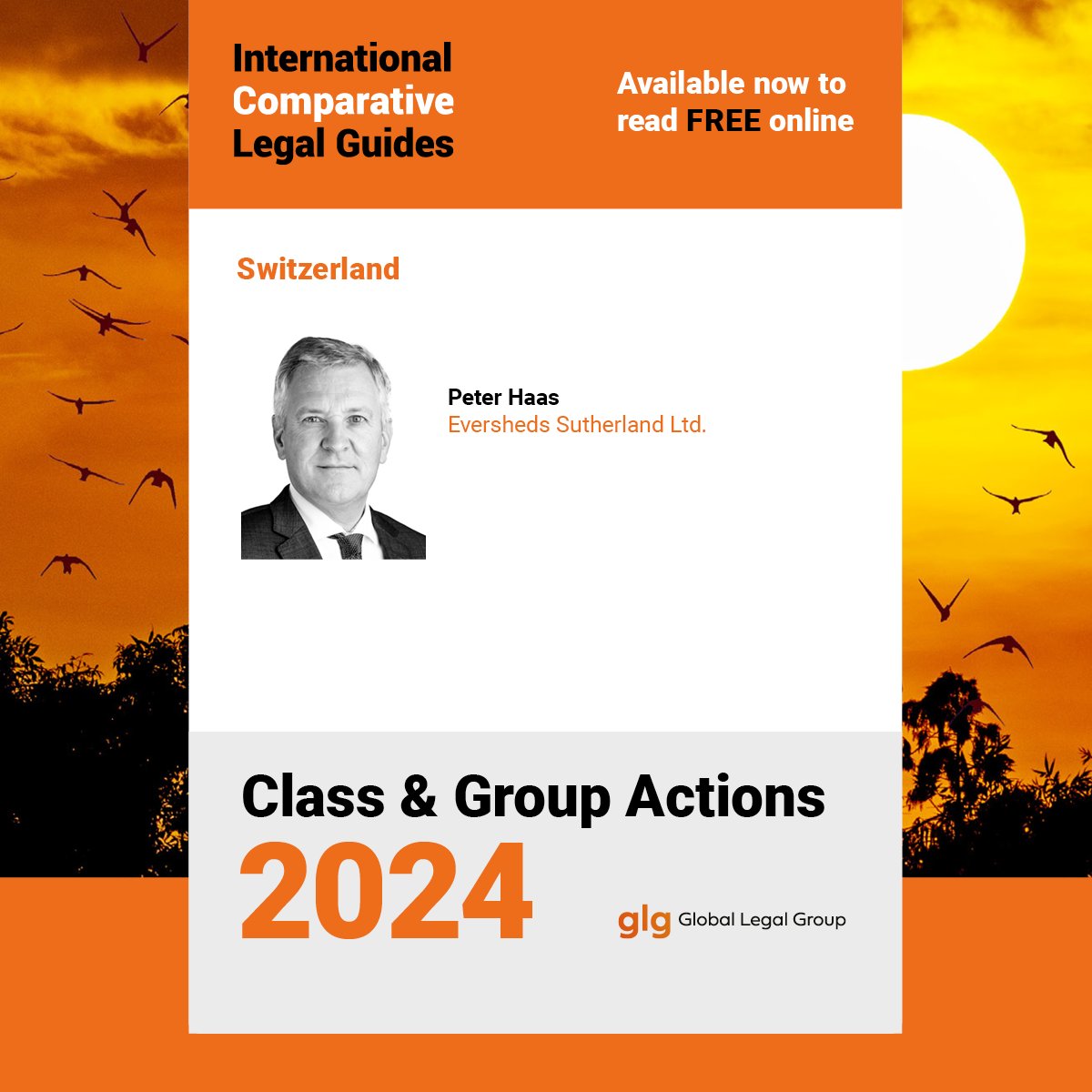 ICLG_GLG's tweet image. How similar must claims be &amp;amp; what are the legal requirements for proceeding on a class or group basis in #Switzerland? When can a #ClassAction be certified, or a group litigation order made?
Join @ESgloballaw to find out in ICLG #ClassAndGroupActions 24⬇️ obi41.nl/mpzu9va3