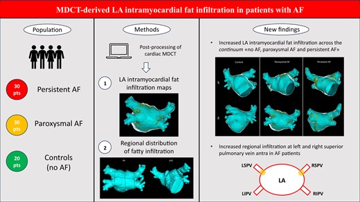 Andrea Saglietto (@andreasaglietto) on Twitter photo Proud to share the work I did during the amazing experience in <a href="/Clinica_Teknon/">Centro Médico Teknon</a>! 🇪🇸
We post-processed left atrial #CTA to evaluate the intra-myocardial #fat infiltration in patients with paroxysmal #AF, persistent AF and controls.
<a href="/EuropaceEiC/">Europace Editor-in-Chief</a> link👇
academic.oup.com/europace/artic… Proud to share the work I did during the amazing experience in <a href="/Clinica_Teknon/">Centro Médico Teknon</a>! 🇪🇸
We post-processed left atrial #CTA to evaluate the intra-myocardial #fat infiltration in patients with paroxysmal #AF, persistent AF and controls.
<a href="/EuropaceEiC/">Europace Editor-in-Chief</a> link👇
academic.oup.com/europace/artic…