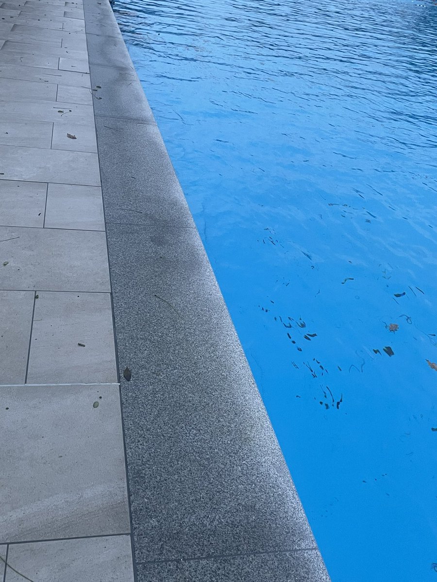 Anne Fairweather tweet media