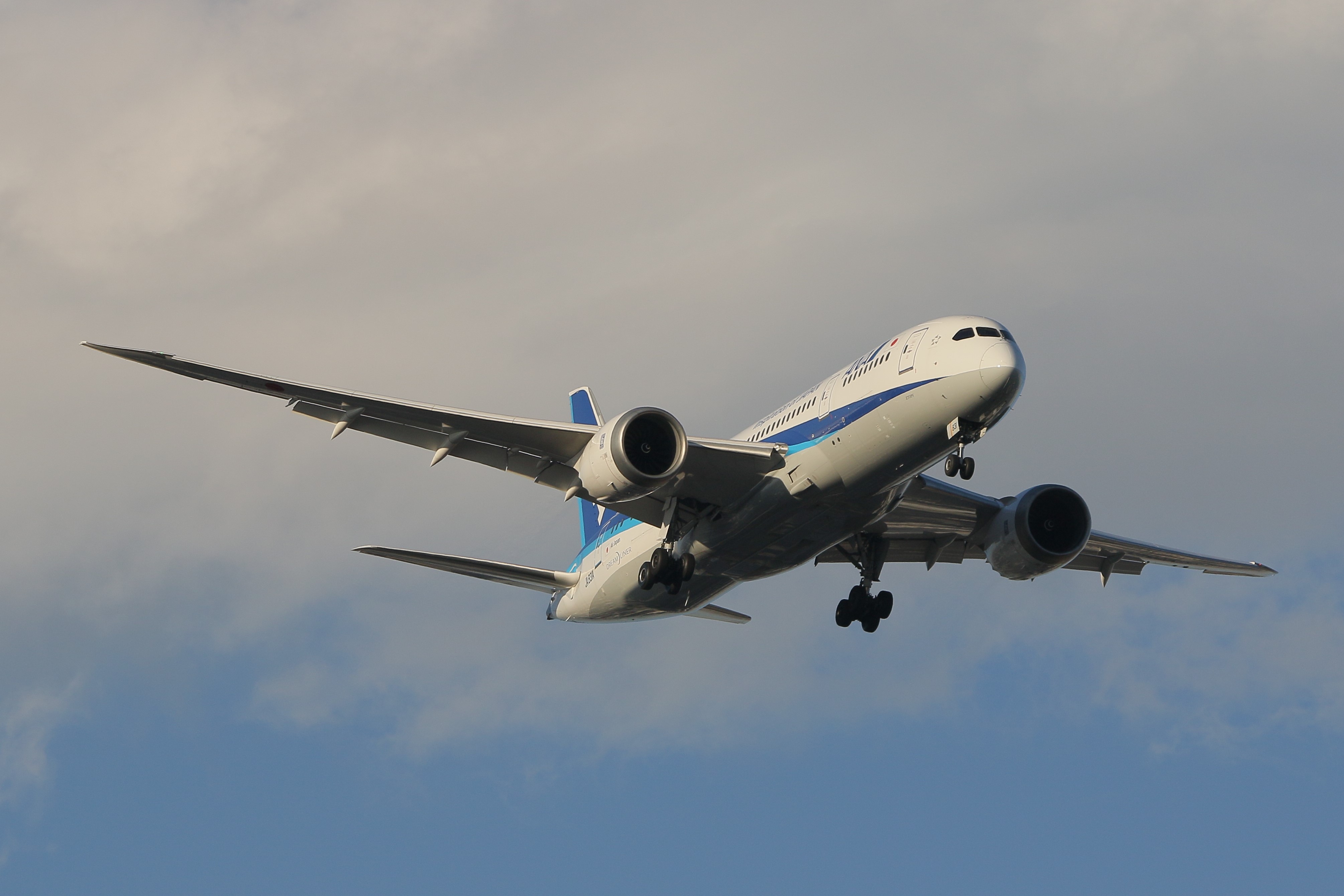 かがり火 JAL B8 boeing_787_8_dreamliner - Search / X