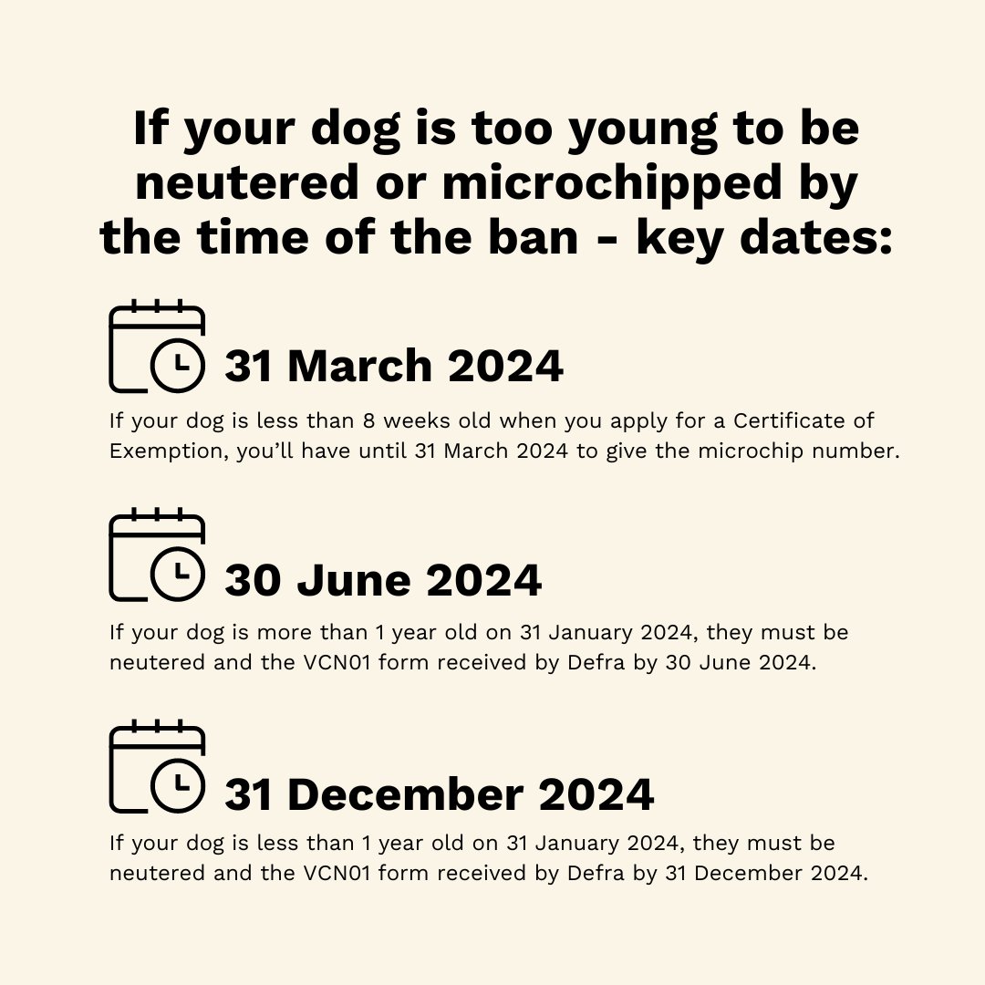 Key dates to remember if you’re affected by the XL Bully ban. 👉 31 Dec 2023 - illegal to breed, sell, advertise, rehome or abandon an XL Bully. They must be kept on lead & muzzled in public 👉 1 Feb 2024 - XL Bullies must be registered on the Index of Exempted Dogs