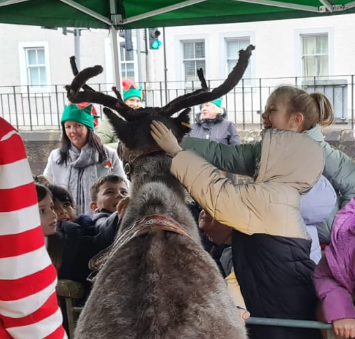 EagleshamPS's tweet photo. We were treated to an amazing opportunity this week when some of Santa's reindeers visited Eaglesham Primary! Operation Carrot was a huge success, thank you to @EPParentCouncil 🥕 #EPSValues https://t.co/moC4wddxvD