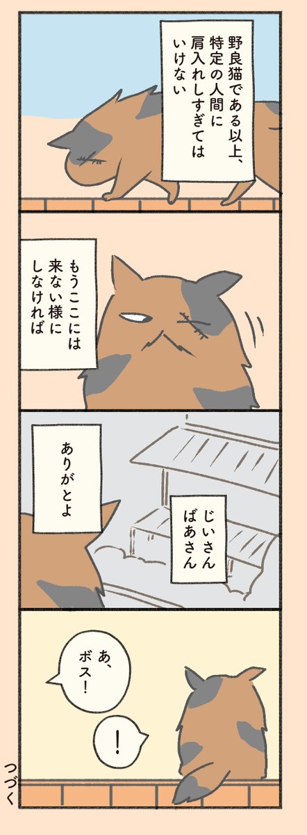 #もしも猫外伝 「菊次郎とふみ」その4    1日1ページ更新。今日は2ページ。