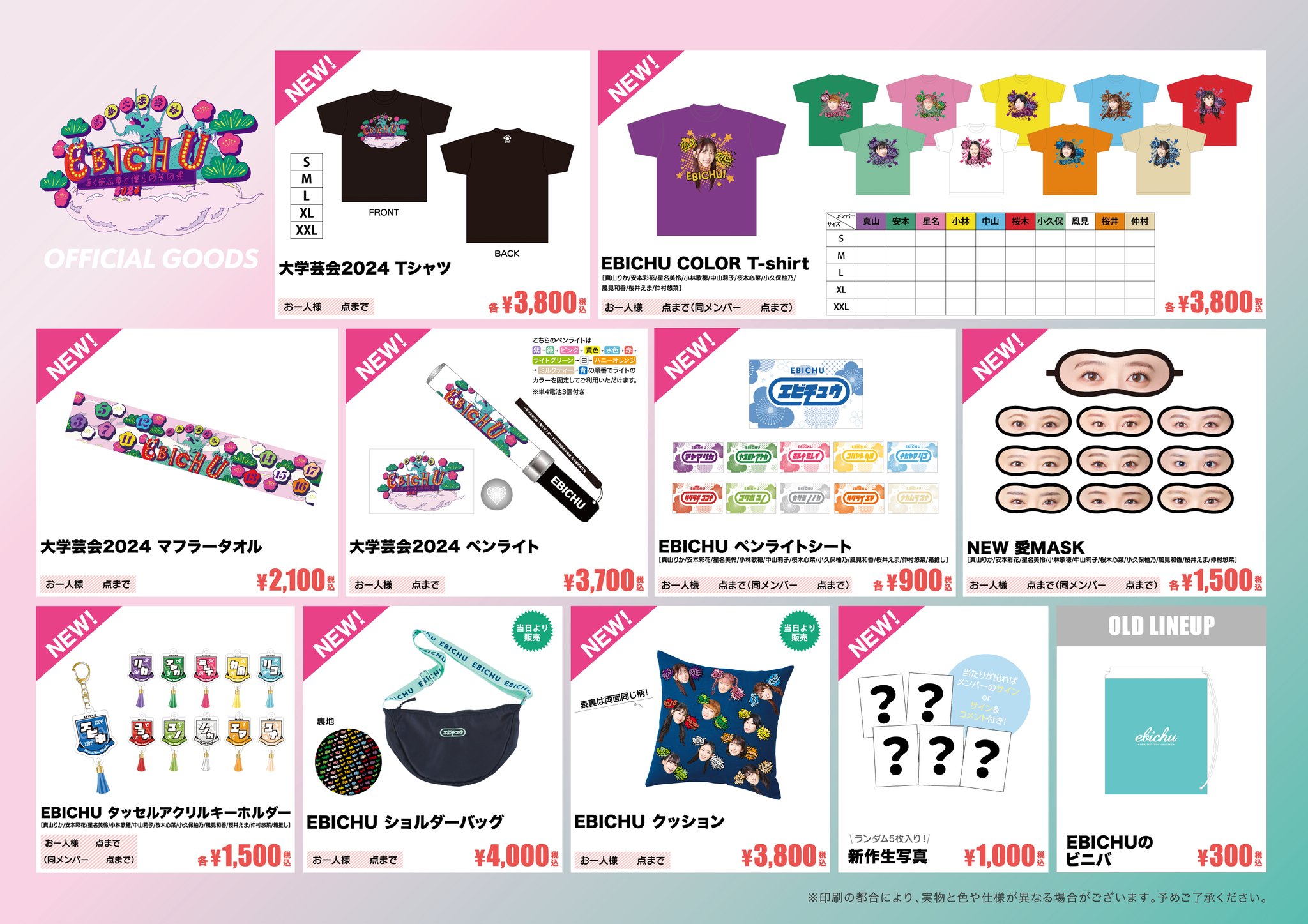 【即購入不可】私立恵比寿中学 エビ中 グッズ セット販売 私立恵比寿中学 エビ中グッズセット 私立恵比寿中学（えびちゅう