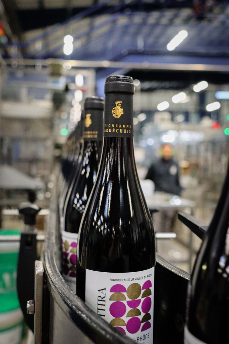 En direct de notre chaîne de production où notre cuvée Mithra, AOP Côtes du Rhône, se pare de son nouvel habillage pour les fêtes ! ✨

#aopcôtesdurhône #vigneronsardechois #frenchwine #merrychristmas