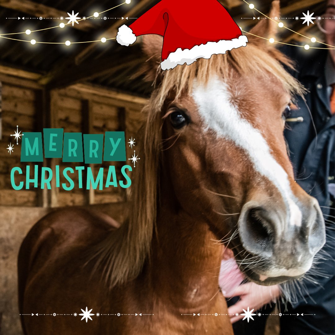 Praying for a joyful, rejuvenating Christmas for all our Ripley families, pupils/students and staff.
See you all on 8th January next year!
🎄