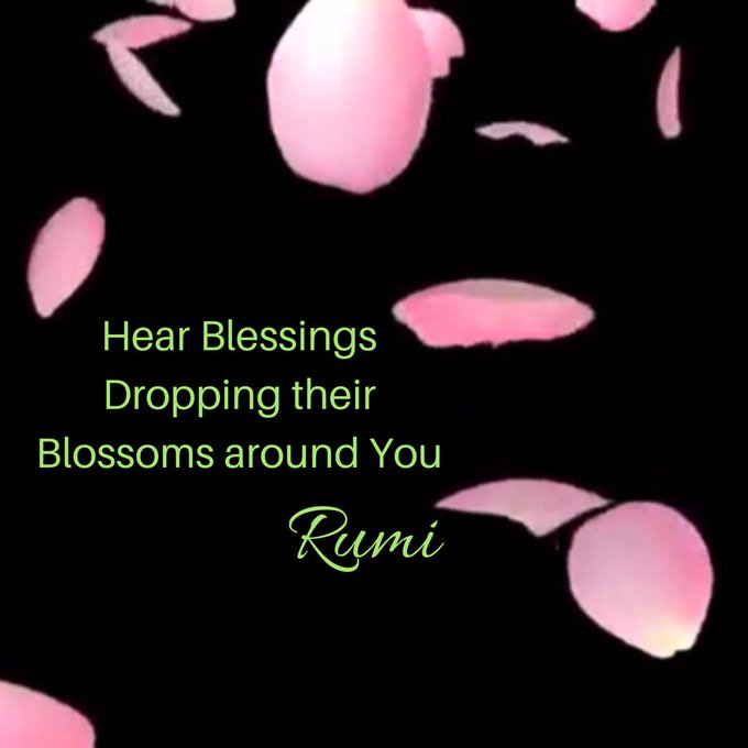 #ThankfulThursday Hear blessings dropping their blossoms around you. - Rumi