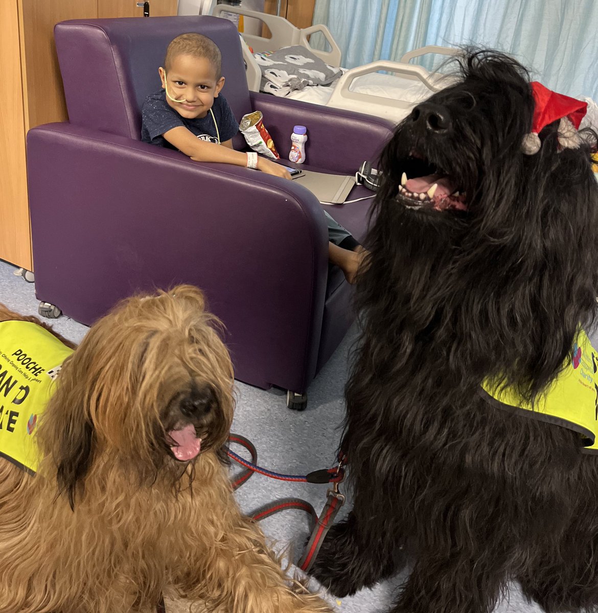 We were so blessed to be visited by Ruby, Bertie and their pet human Dale from @Pooches20781922 yesterday - some of our patients don't spend a lot of time at home and it made their christmasses for some good time with the Pooches - thank you ❤️ 🐶 🫶🏻 Photo posted with consent