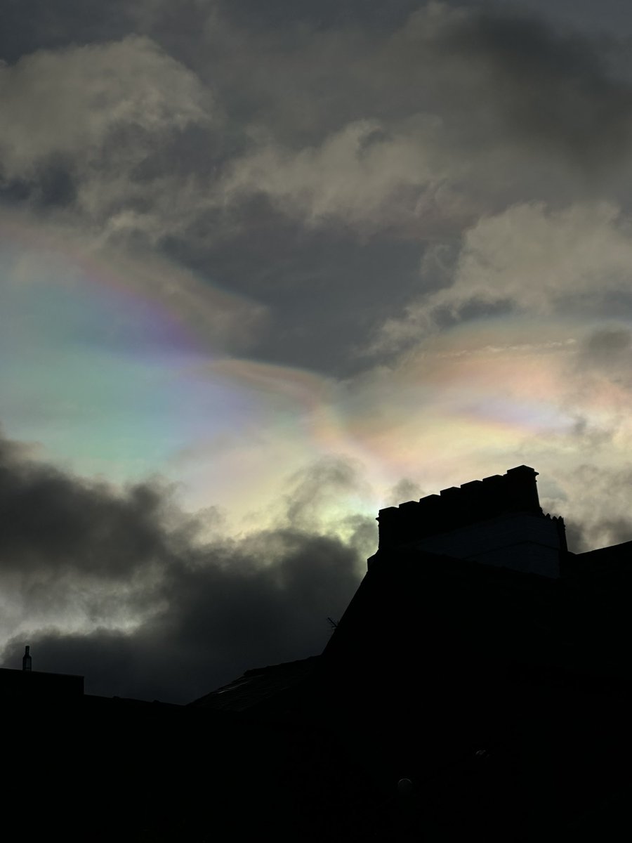 Naz Jahanshahi tweet media