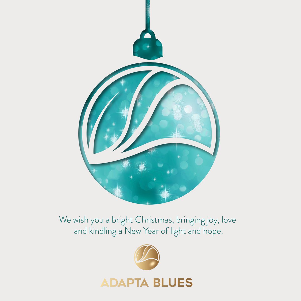 From @adaptablues we wish you a 2024 full of good projects.
Merry Christmas and Happy New Year!
@LIFEprogramme @IHCantabria