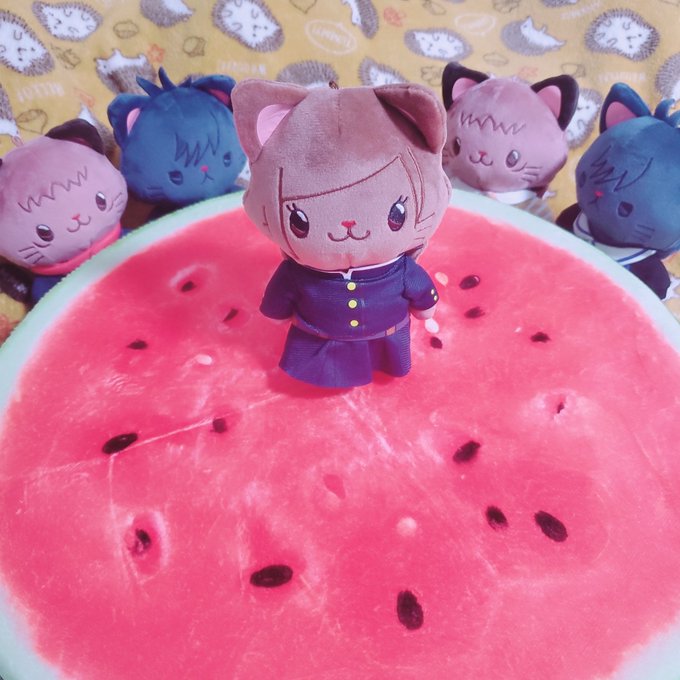 「food focus watermelon」 illustration images(Latest)