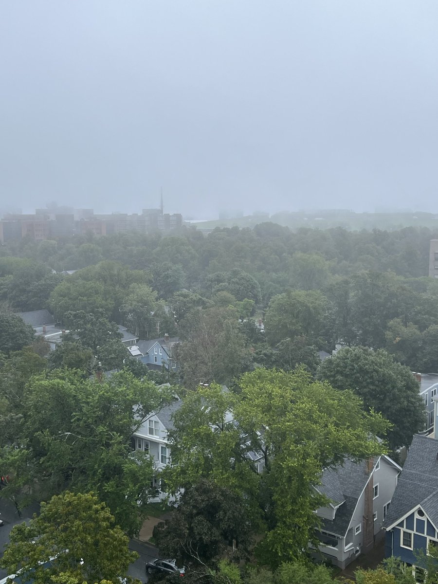 هل تصدق
هذه 👇 مدينة سكنية
فيها بيوت و سيارات و ممرات للمشاة
و لا تمثل الاشجار اي عائق !!

فقط الزام الناس بالقانون
١-عدم بناء اكثر من ٣ ادوار
٢-زراعه شجرة واحدة امام كل منزل
٣-الارتداد امام البيت ملك الدولة

 #جنوب_القيروان
#الشيخ_مشعل_الأحمد