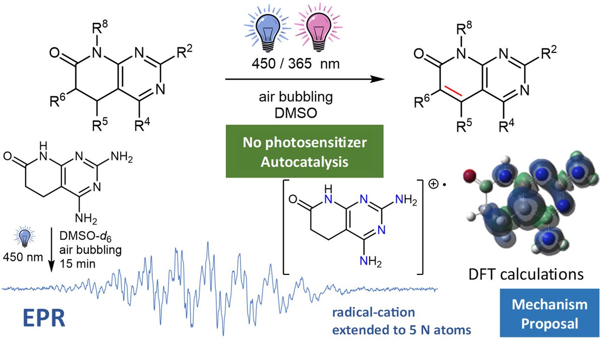 Back cover of Issue 1 is from Raimon Puig de la Bellacasa et al.: 'Autocatalytic photoinduced oxidative dehydrogenation of pyrido[2,3-d]pyrimidin-7(8H)-ones: synthesis of C5–C6 unsaturated systems with concomitant formation of a long-lived radical' 🔗doi.org/10.1039/D3QO01…