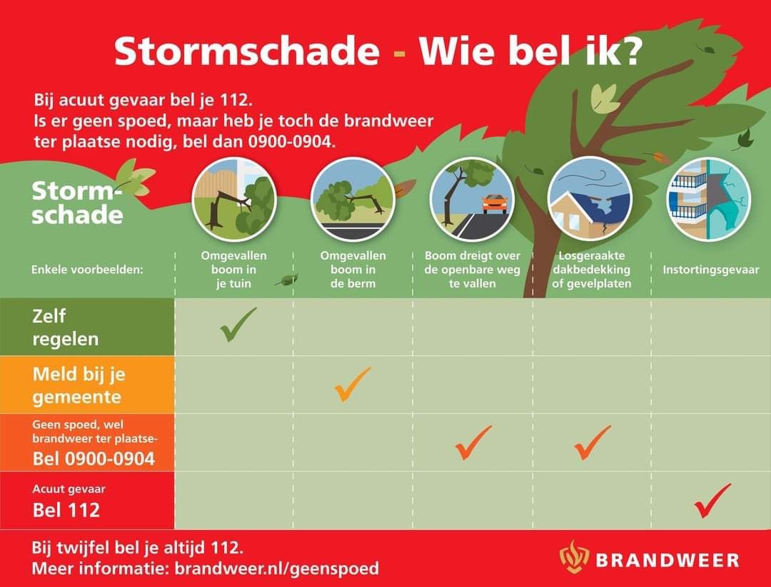 Het waait hard vandaag. Wil je stormschade melden? Lees hier wie je dan kunt bellen.