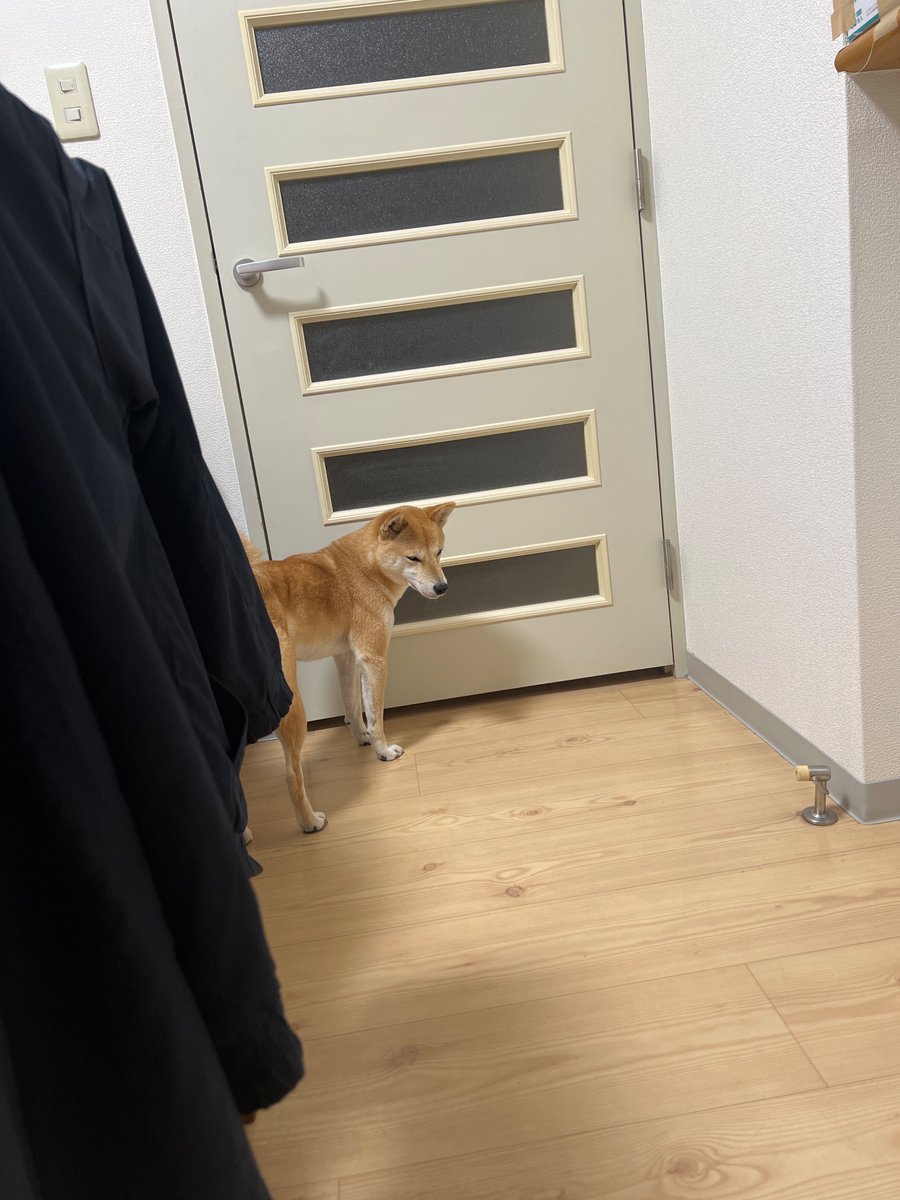 最中寝たいからドア開けてな

顔　^_^