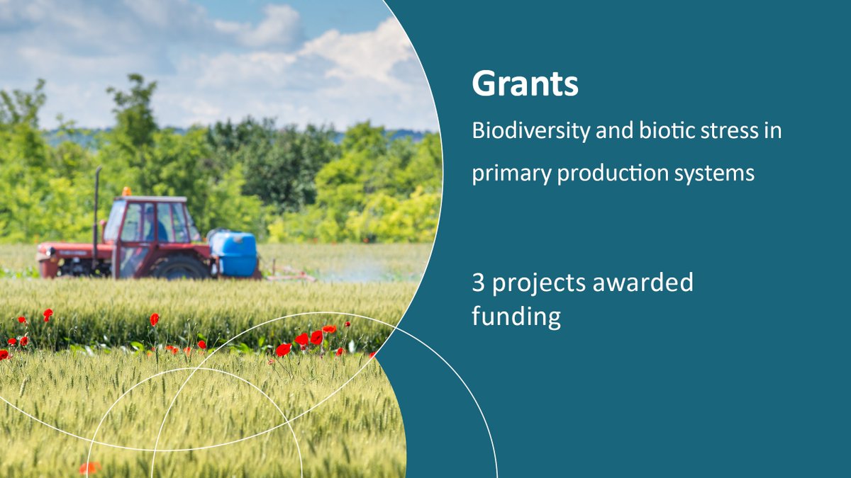 More resilient crops thanks to science? Three projects focused on increasing biodiversity and strengthening crop resilience in primary production systems have been awarded 5m of funding in total. Read more: nwo.nl/en/news/three-…