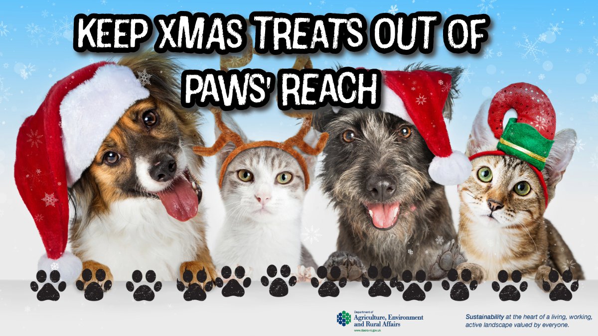 🎅This #christmas keep human treats out of pets reach-don’t let them eat: 🍰cake 🍮Christmas pudding 🥧mince pies 🍫 chocolate ⚠️These can be poisonous to pets 🔗More info: uspca.co.uk/keeping-your-p… @nidirect @belfastcc @lisburnccc @mea_bc @MidUlster_DC @abcb_council @ANDborough